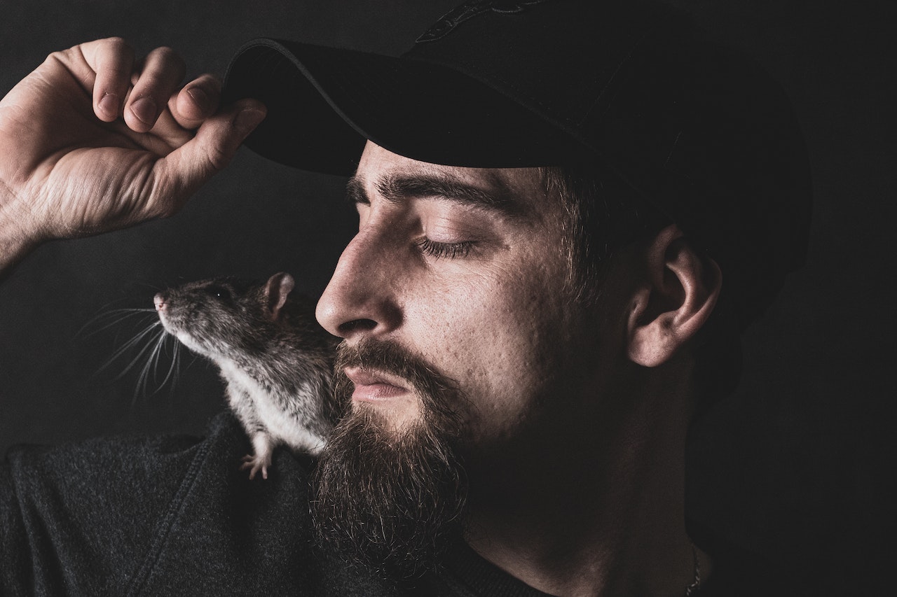 What Does It Mean to Dream About Rats